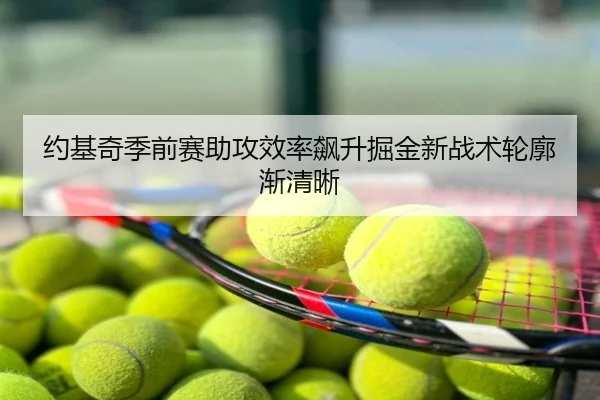 约基奇季前赛助攻效率飙升掘金新战术轮廓渐清晰